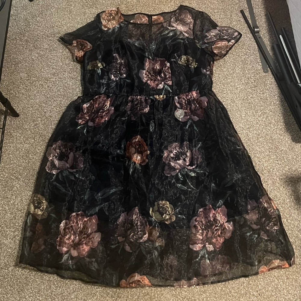 New with tags Chi Chi dress